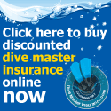 Dive Master Insurance logo
